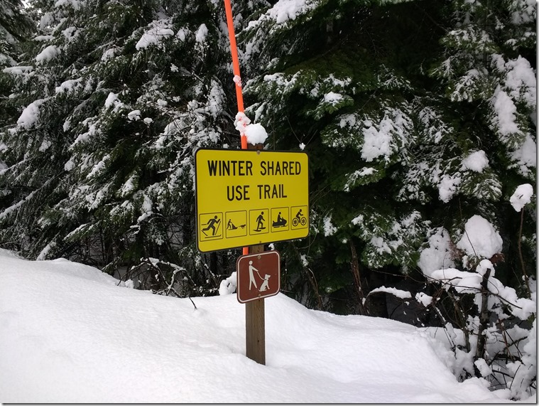 shared use sign iron horse trail shared use sign Iron horse trail