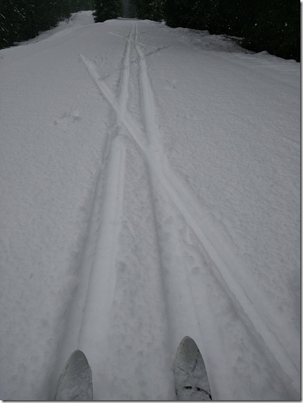 Two sets of ski tracks on the Iron Horse trail east of the Whittier tunnel Two sets of ski tracks on the Iron Horse trail east of the Whittier Tunnel