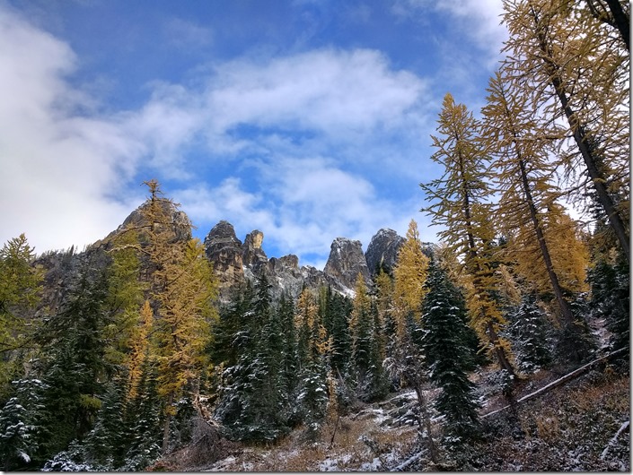 Golden larch trees have a dusting of snow on a hill next to evergreen trees with steep mountains in the background along the Blue Lake Trail in the North Cascades