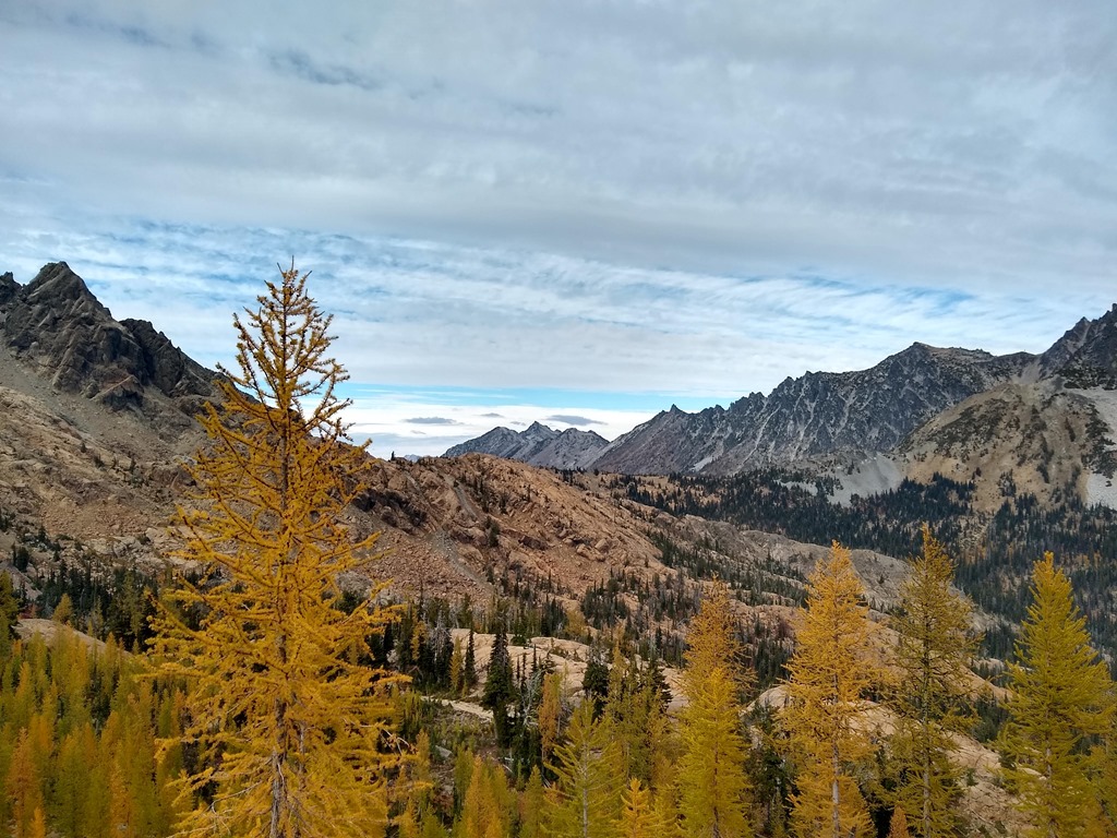 In the foreground are golden larch trees, in the background large mountains against a cloudy sky