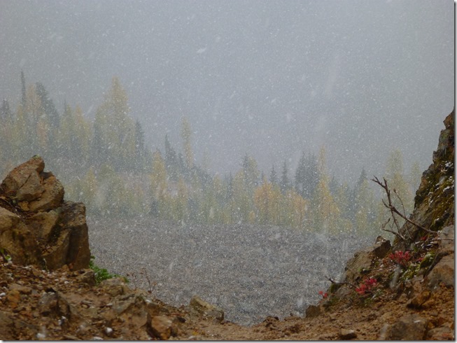 A sudden snowstorm on the Maple Pass Loop trail, golden and evergreen trees are barely visible through the snowfall.