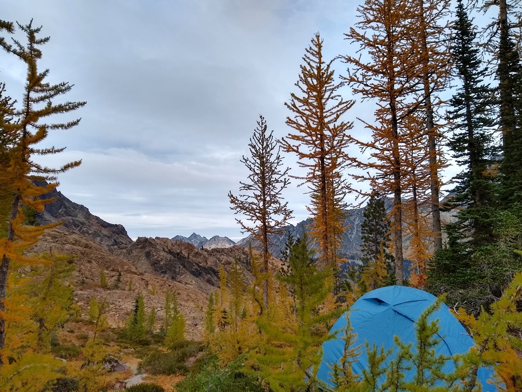 A blue tent among golden larch trees in the foreground in headlight basin near the Lake Ingalls trail. In the background there are distant mountains