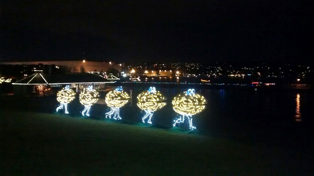 5 Free Unique Seattle Holiday Traditions Ordinary Adventures