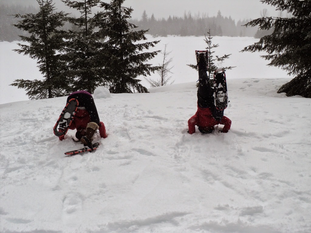 Get Started Snowshoeing Seattle! Ordinary Adventures