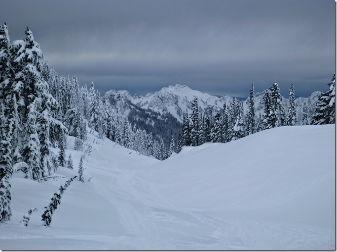 Paradise Mt Rainier Tatoosh views snowshoeing Paradise Mt Rainier Tatoosh views snowshoeing