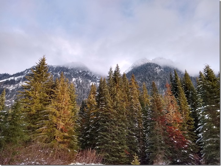 Gold Creek Valley Snowshoe Gold Creek Valley Snowshoe
