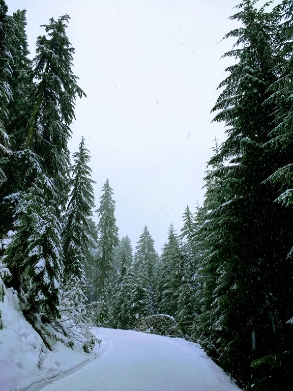 Beginner Cross Country Skiing near Seattle Ordinary Adventures