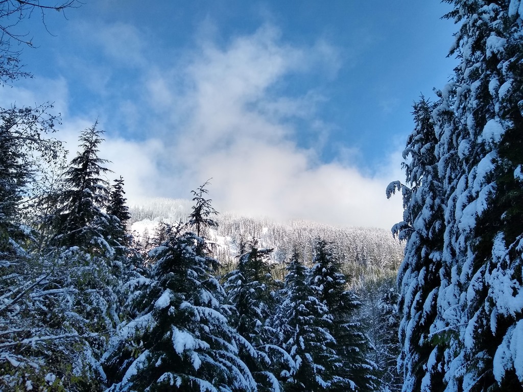Where can I play in snow near Seattle? Ordinary Adventures