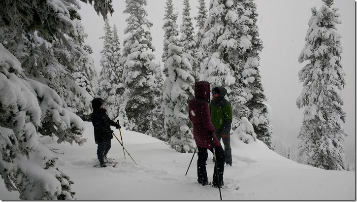 winter day trip to olympic national park snowshoeing clouds winter day trip to olympic national park snowshoeing clouds