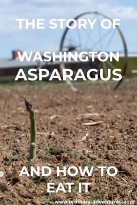 A single spear of asparagus in a field with irrigation equipment behind it. Text reads: The story of Washington asparagus and how to eat it.