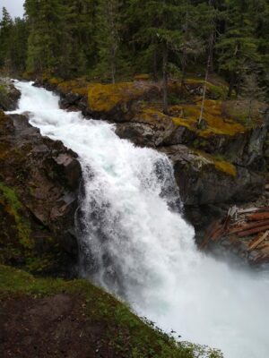 A waterfall drops down to a pool. It's in the forest on a cloudy day and there are moss and logs surrounding the water on the rocks
