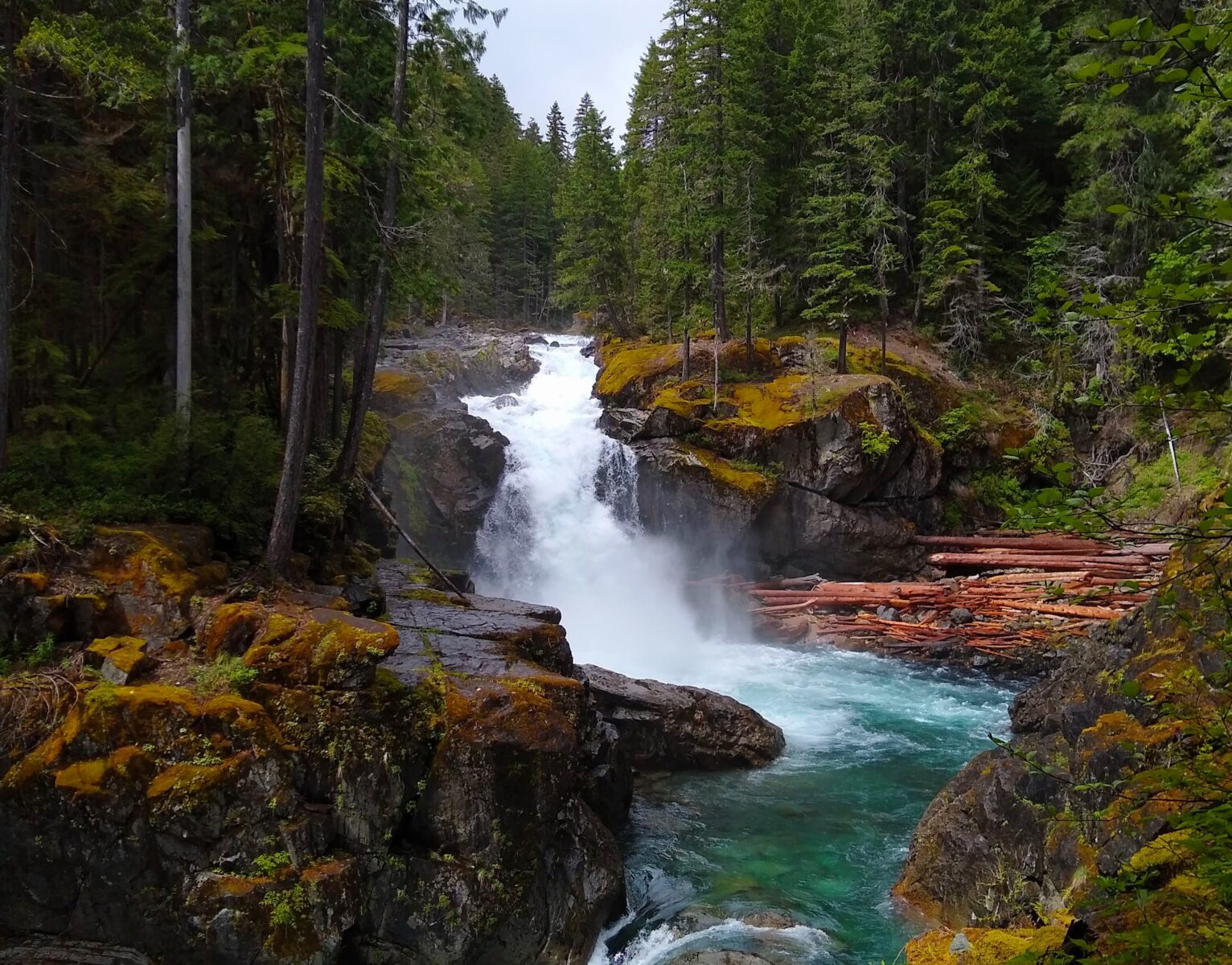 A series of cascades in a waterfall surrounded by evergreen trees in a forest