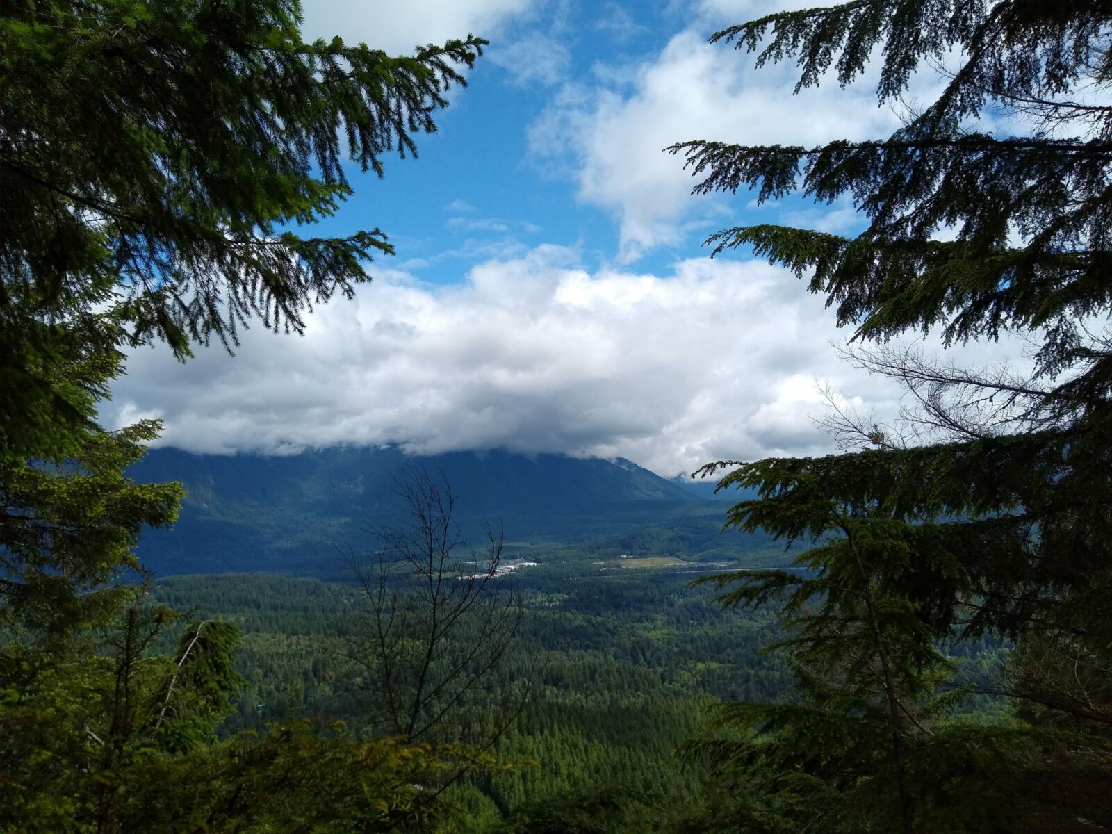 One of the best hikes near north bend, cedar butte has view of rattlesnake mountain across the valley. In the valley are forested evergreen hills that are framed by evergreen trees in the foreground