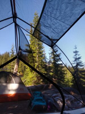 A photo taken inside a backpacking tent to deal with mosquitoes. In the foreground is a backpack and a jacket as well as another tent. The campsite is surrounded by evergreen trees and a blue sky day