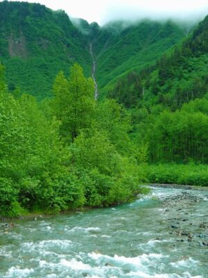 A creek rushes through a green forest in a valley. The valley is surrounded by steep forested cliffs and a thin waterfall is coming down the valley wall. Clouds cover the hills around it
