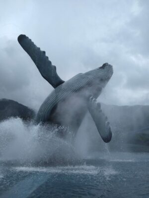 A life size humpback whale sculpture shows a whale breaching out of the water. There is a fountain around it and it's a foggy, rainy day