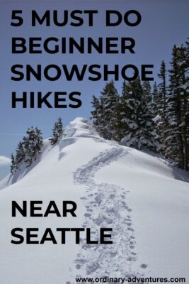 New snow surrounding distant mountains and nearby trees, with a winding snowshoe path to a point. Text reads: 5 Must do beginner snowshoe hikes near Seattle