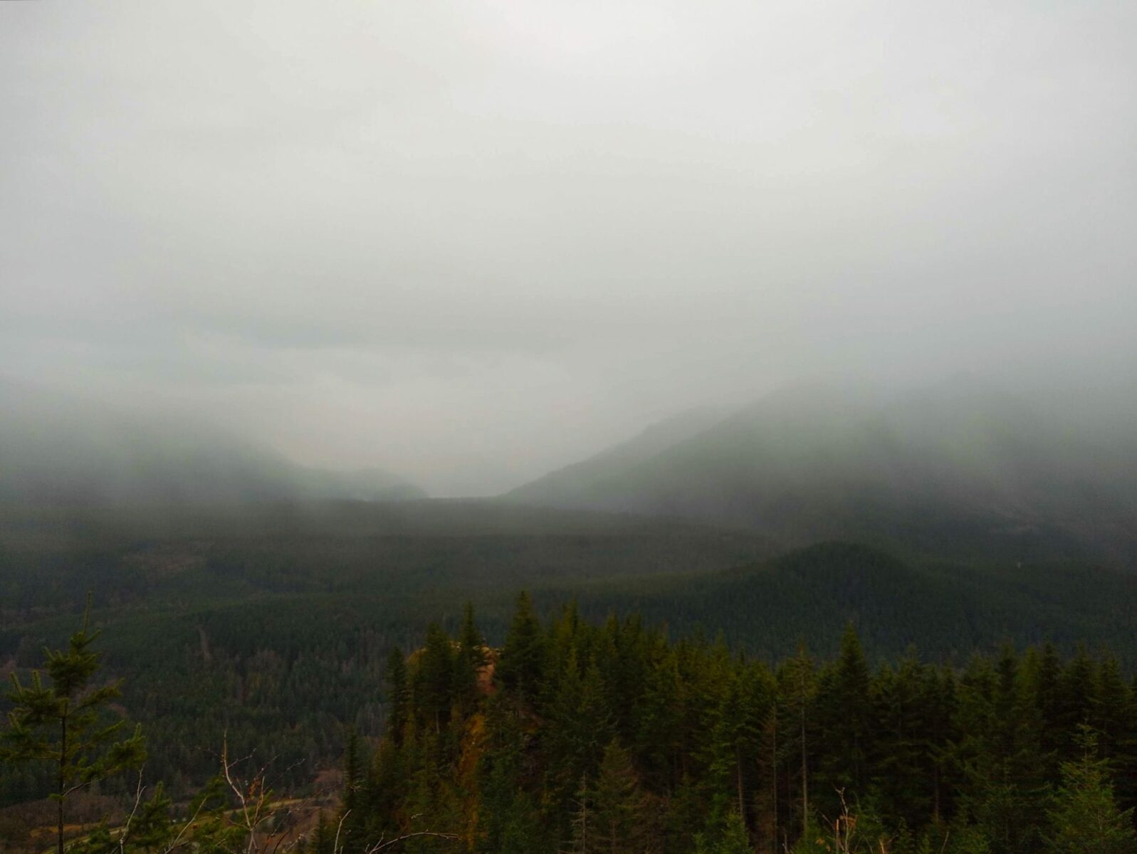 On the Rattlesnake Mountain hike near north bend, a view down to Rattlesnake Ledge, a popular hiking destination. In the foreground are evergreen trees, in the background there are low clouds covering the mountains and clinging to the middle fork snoqualmie river valley.
