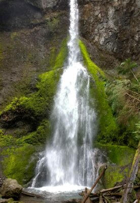 A waterfall coming over a mossy cliff. The waterfall is narrow at the top and wider at the bottom as it drops into a pool filled with logs