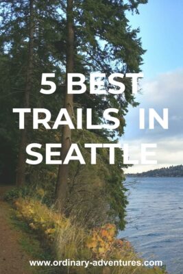 Evergreen trees along the side of a trail next to Lake Washington in Seward park. Text reads: 5 Best Trails in Seattle