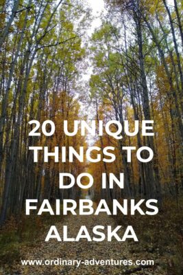 Golden birch trees line a trail. Text reads: 20 unique things to do in Fairbanks Alaska