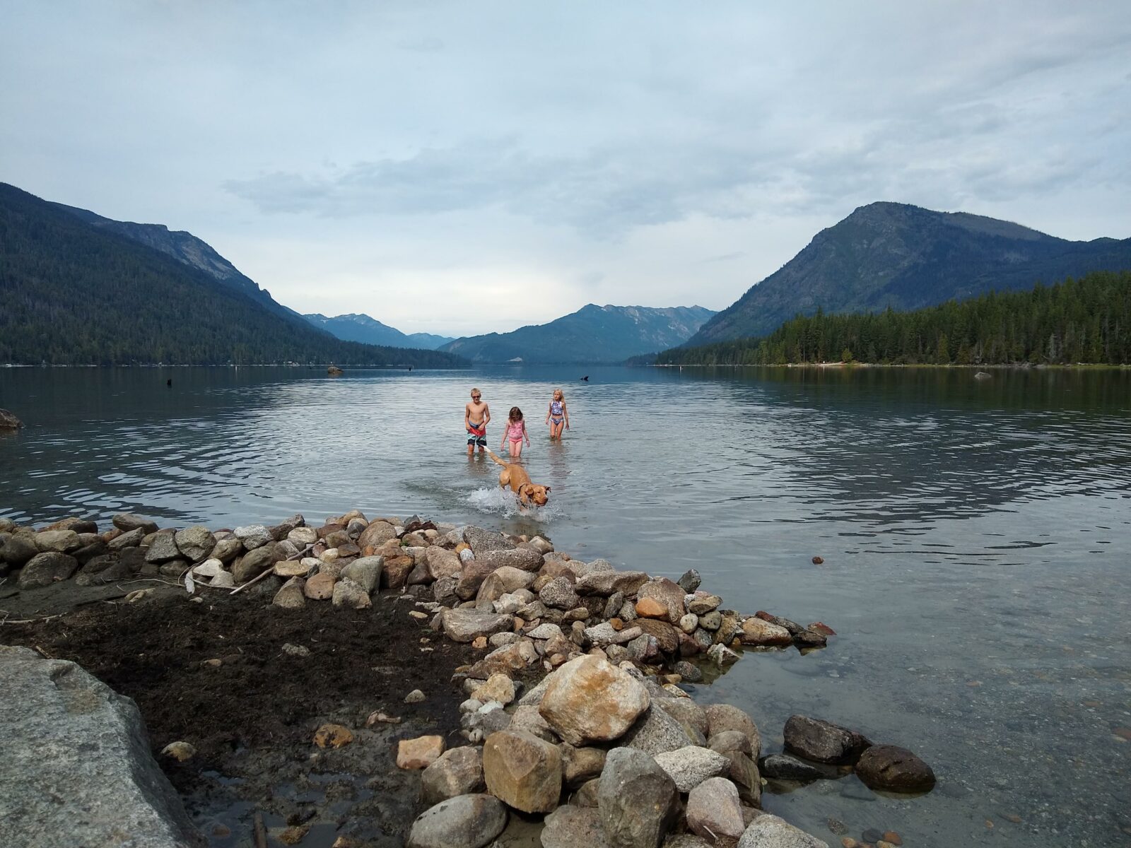 kids and a dog wade in the water of a lake. There are rocks on the beach and forested hillsides in the background