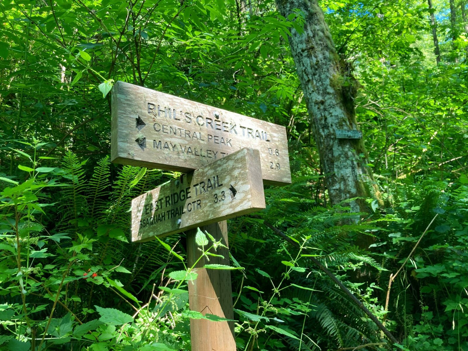 Two wooden direction trail signs on the East Ridge Trail in Squak Mountain State park. One sign points to Central Peak and May Valley Trailhead, the other points to the Issaquah Trail Center