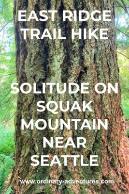 A close up of an old growth douglas fir tree. Text reads: East Ridge Trail hike, solitude on Squak Mountain near Seattle