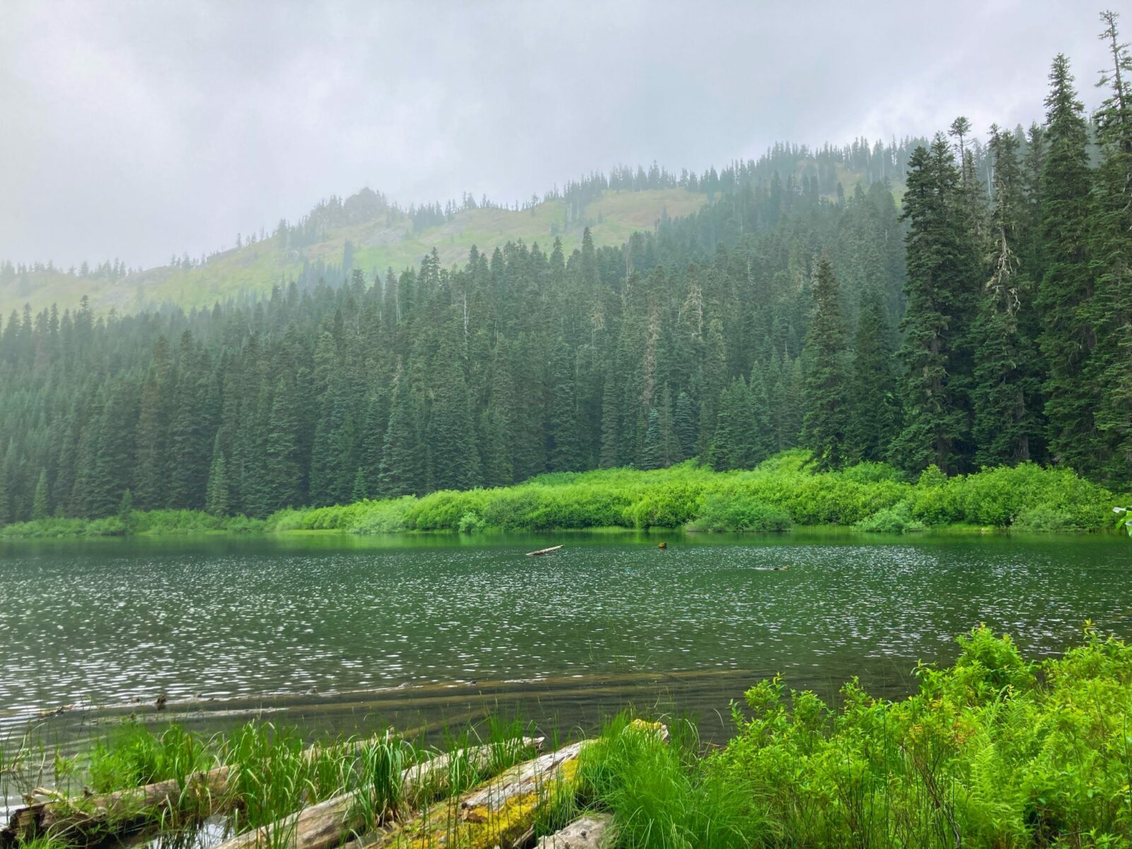 Cottonwood Lake, a smaller and less busy lake along the Mirror Lake trail. Clouds surround the mountains and the lake is ringed by evergreen trees and green undergrowth. There are a few logs in the foreground