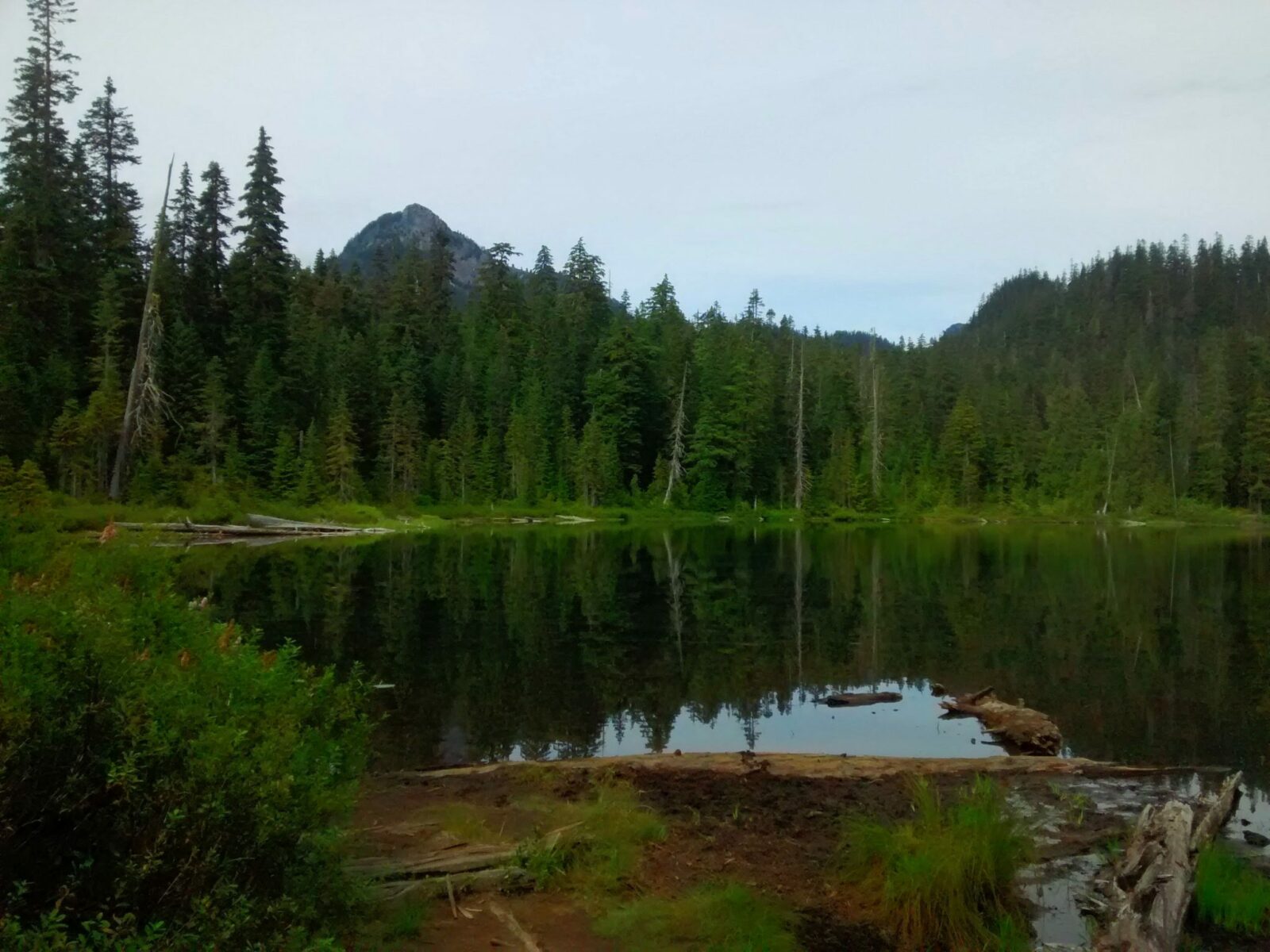 An alpine lake surrounded by evergreen trees. There are a couple of higher mountains visible in the distance