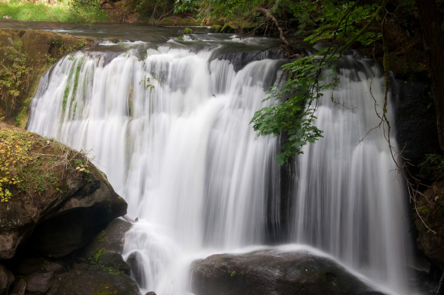 A wide waterfall going over rocks with a surrounding forest
