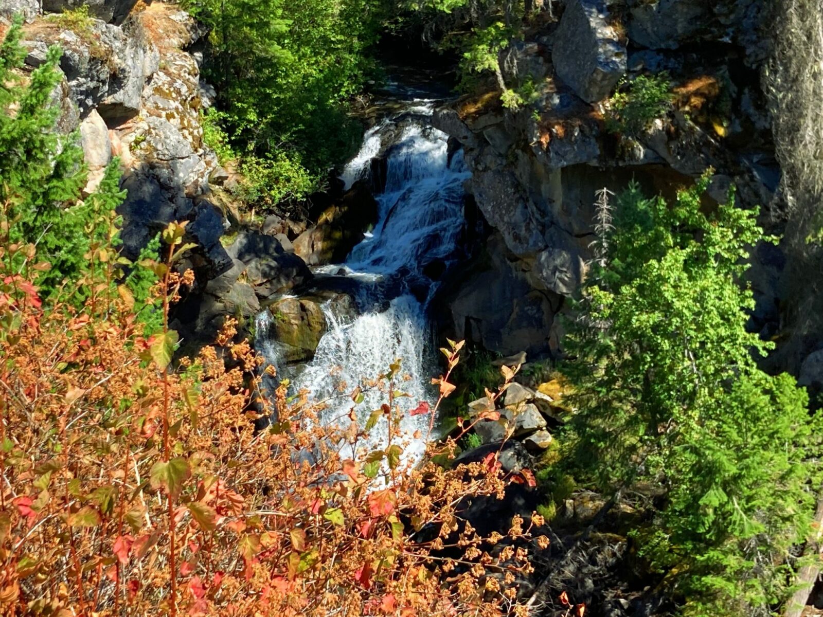 A waterfall tumbles over rocks with some green trees and red and brown bushes surrounding it