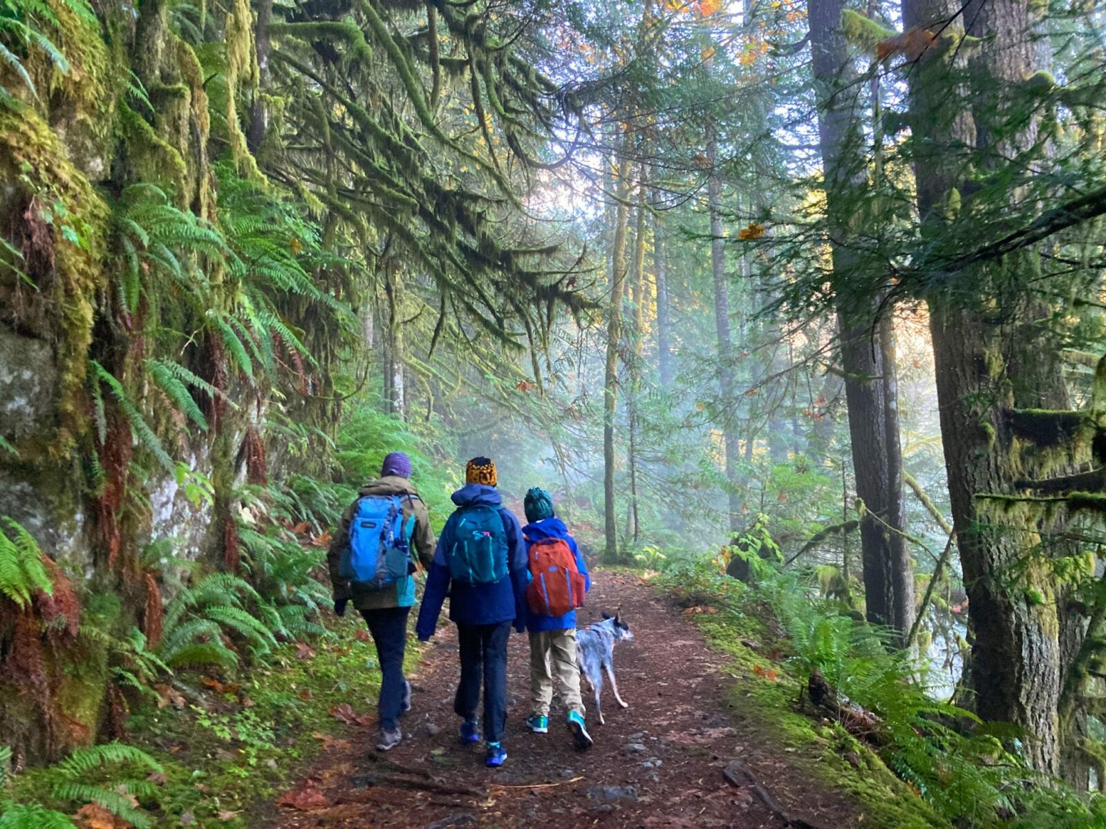three hikers and a dog on the Boulder River trail. At this point the trail is wide enough for three people to walk next to each other. The trail is surrounded by evergreen trees and ferns and moss