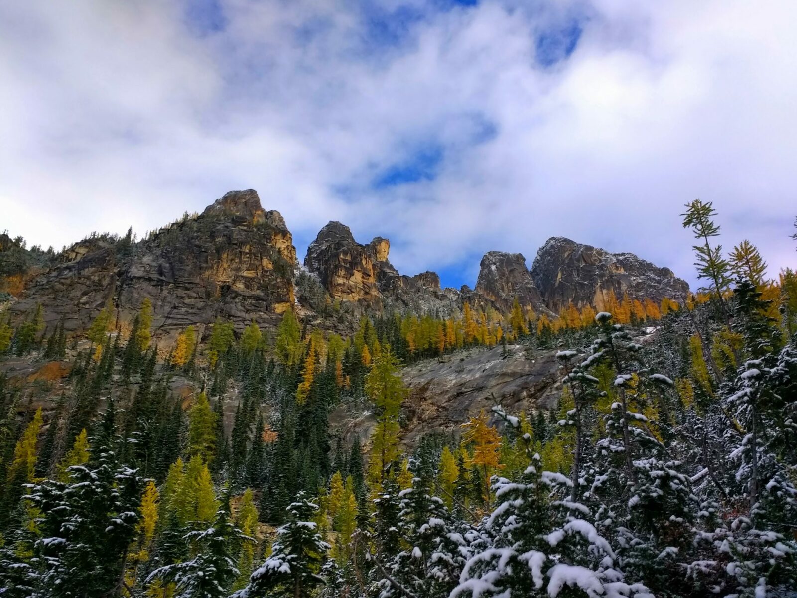 Golden larch trees and still green larch trees line a steep hillside against mountains on the trail to Blue Lake in the North Cascades