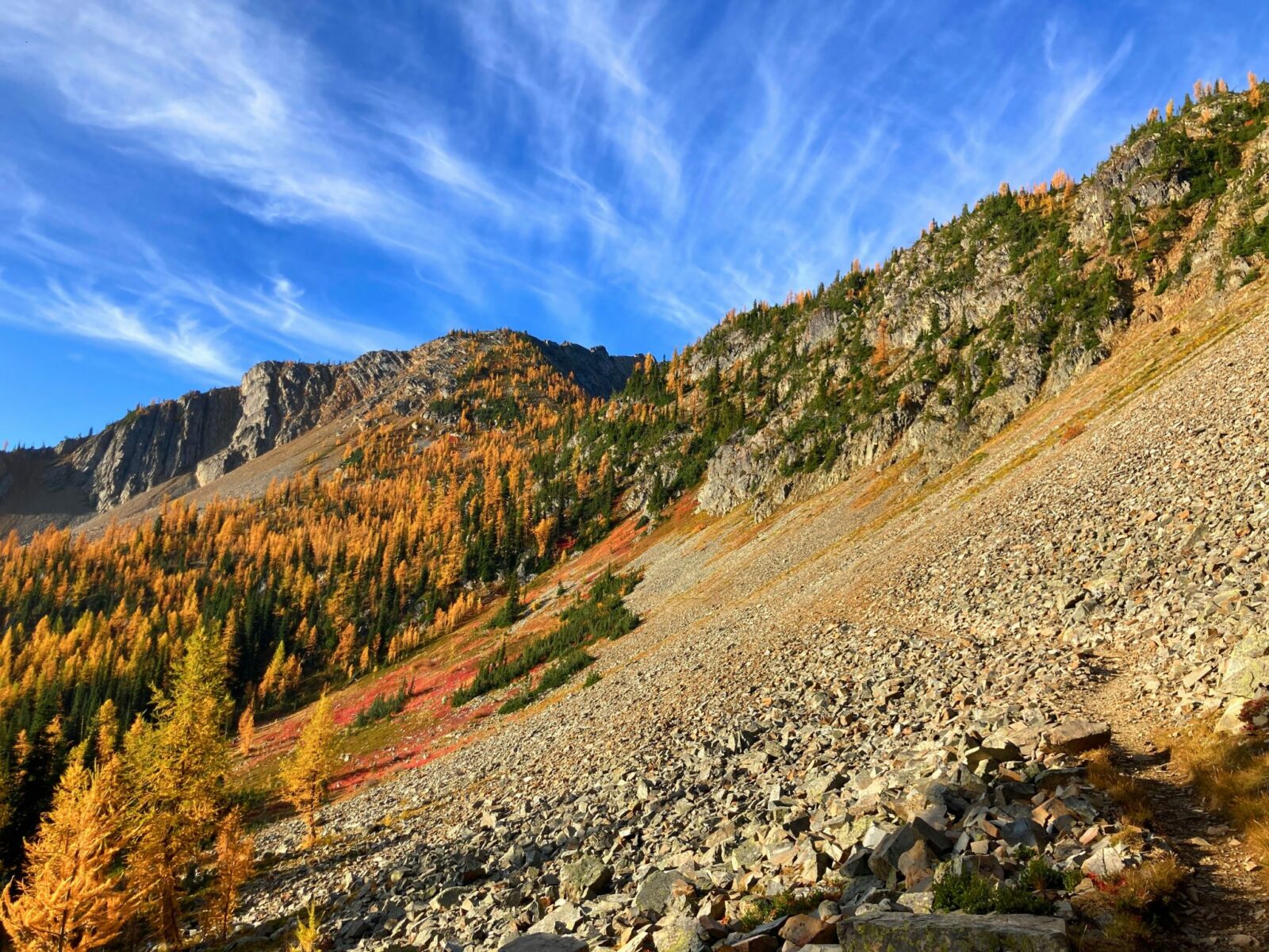 A rocky mountainside with evergreen trees and golden larch trees on the way to Grasshopper Pass