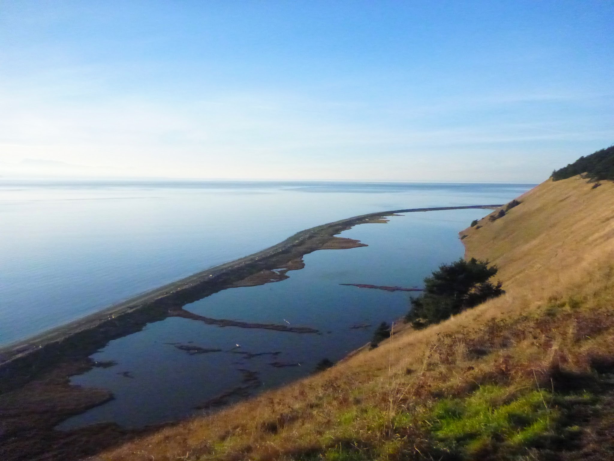 The Best Whidbey Island Hikes Ordinary Adventures