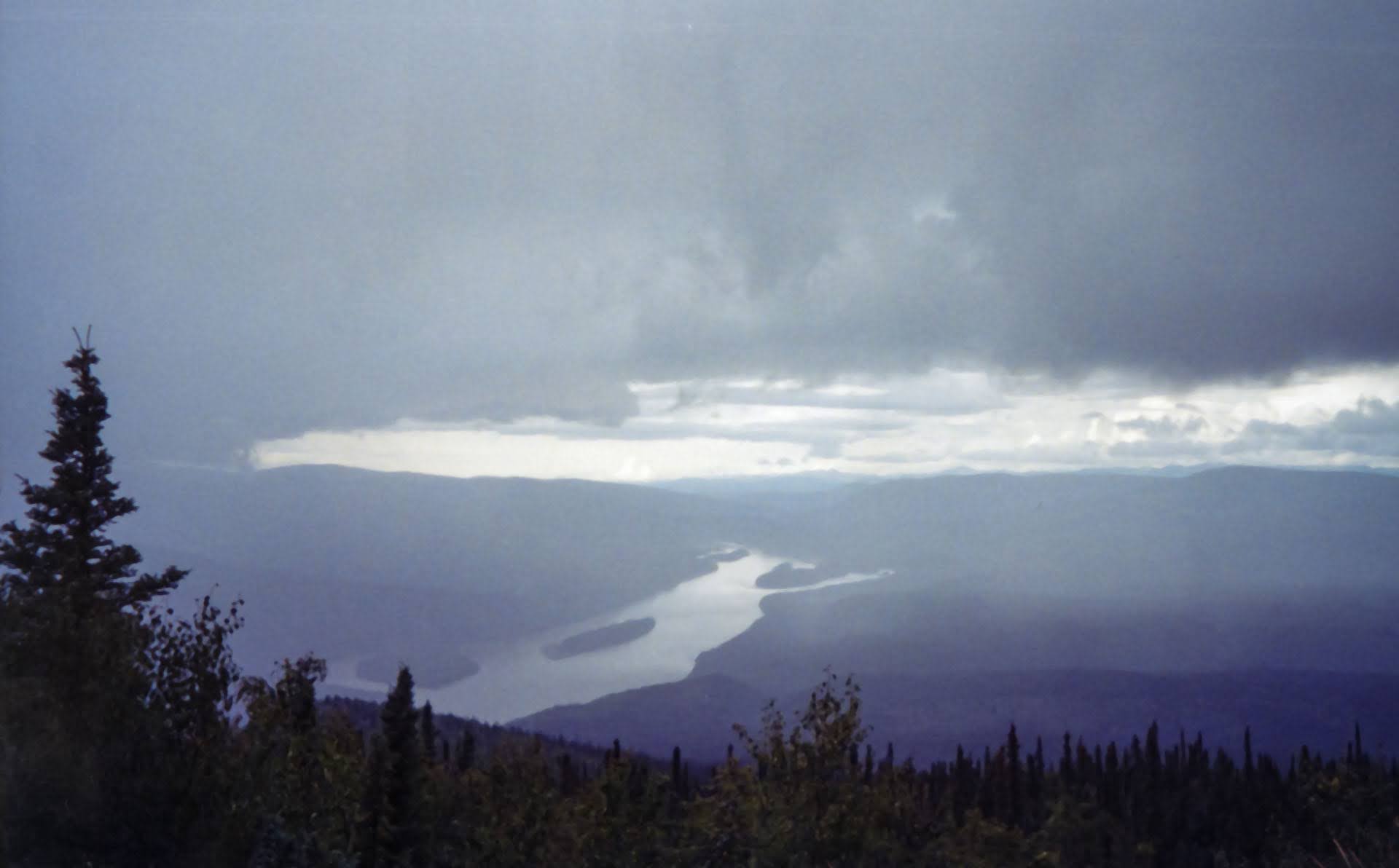 A view of the yukon river from high above at the top of midnight dome. It's a stormy and cloudy day and the river is flowing between forested hills. There are trees in the foreground. Driving or hiking to the summit of midnight dome is a popular thing to do in dawson city