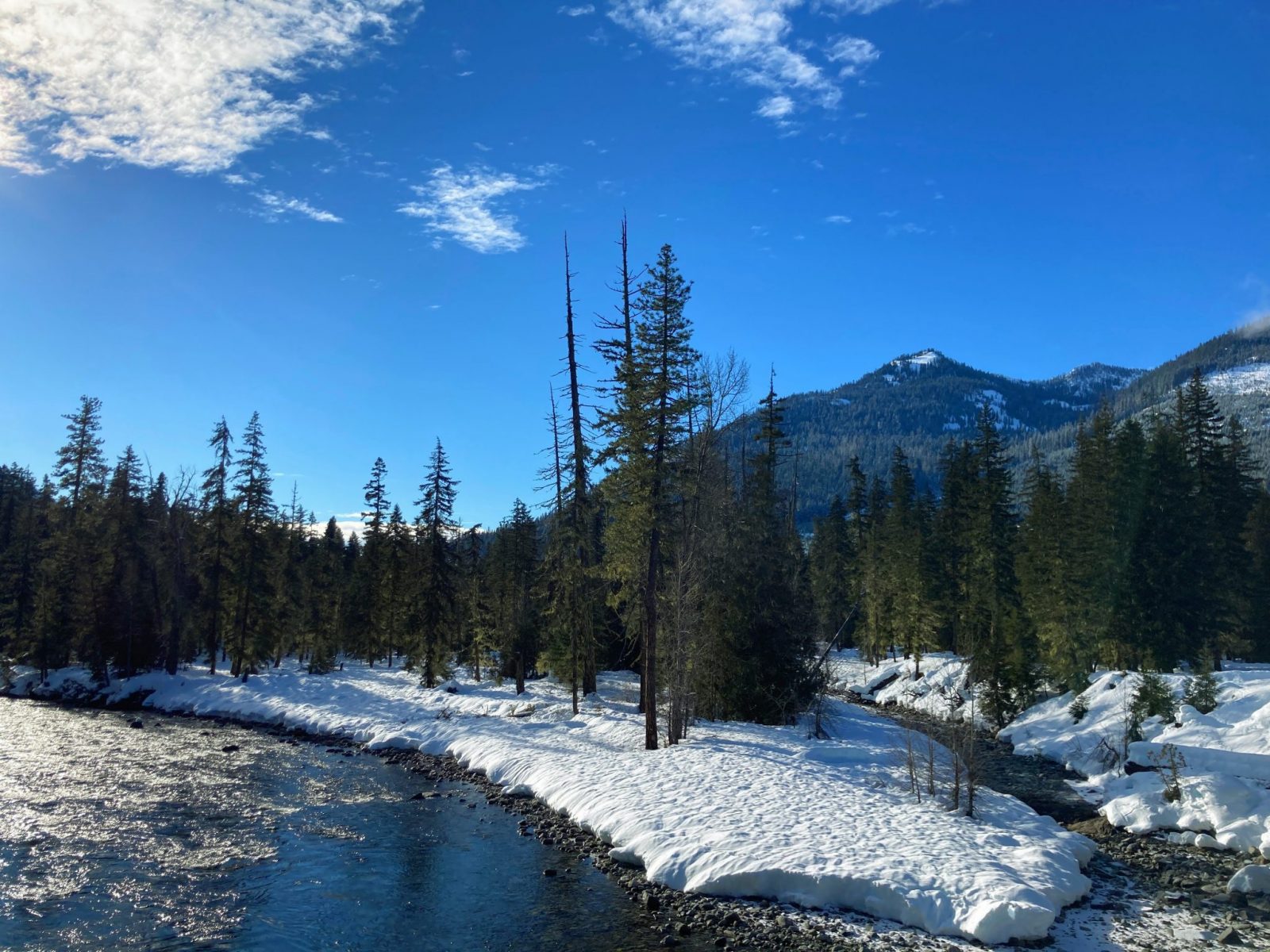 A sunny blue sky day at the salmon la sac sno park. There is a river with snow and forest around it, and distant forested mountains.
