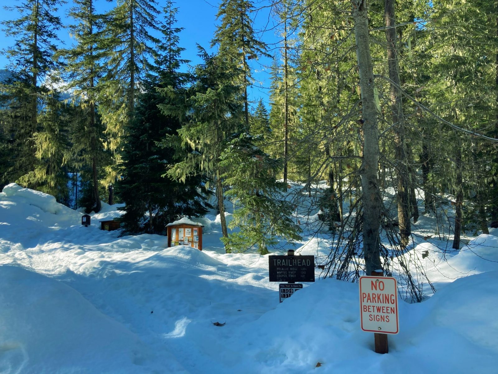 The salmon la sac trailhead, a forested trailhead in winter with lots of snow. There are several signs, including a no parking sign, a trailhead sign and a board with many announcements